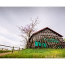 오동나무공원 이미지