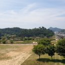 전막교차로 이미지