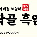 마작골 이미지