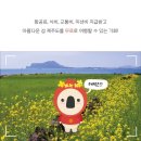 탐나투어 이미지