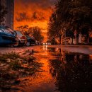 주정차16 이미지