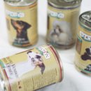 야옹이네 이미지