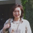 솔동산스토리 Daum카페
