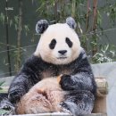 오늘도꽈배기 이미지