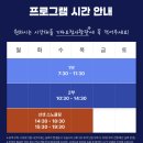 리얼 | 하와이 거북이스노쿨링 리얼 예약 후기!!
