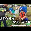 금강땅콩 이미지