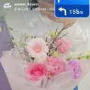 정답은꽃 이미지