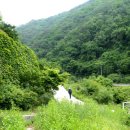 김삿갓면-13 이미지