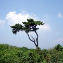 대국산성