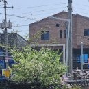 숙자소반 이미지