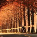 고향역7080 Daum카페