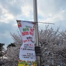 농업기술센터 | 청주 딸기 축제 농업기술센터 딸기 팝업 페스타 방문 후기