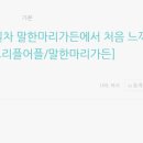 돌고래손칼국수 이미지