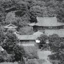 청룡사 연합뉴스