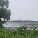 청도천9 이미지