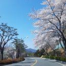 영구인테리어 - 부평구 마장로468번길 17 | 영구인테리어