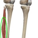 행복 휘트니스 이미지