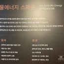 제천 포레스트 리솜 해브나인 스파 준비물부터 할인까지 꿀팁 및 이용후기