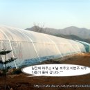 별이네하우스 이미지