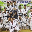 백호경희대태권도 이미지