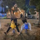 내 나이는 20 하고도 플러스 8.8 이지