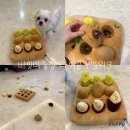 튼튼농장 | 강아지 노즈워크 장난감 추천 분리불안 안화에 도움 된 바잇미 농장 타이쿤 후기 난이도