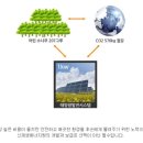 해바라기태양광발전소 이미지