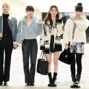 르세라핌 카카오 검색결과