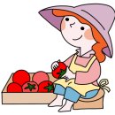 조이토마토 이미지