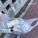 한국타이어 진장 이미지