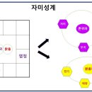 내 사랑은 내가 지킨다 대 사랑을 버리고 안정을 택하다 이미지