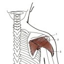 짐웨이 죽전 단국대점 이미지