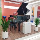 김리라음악학원 이미지