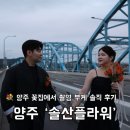 솔플라워 | 양주 꽃집ㅣ솔산플라워 웨딩스냅 부케 솔직 후기