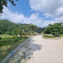 신강남공인중개사사무소 이미지