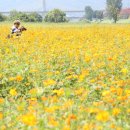 인동2리 이미지