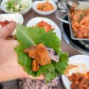 콩사랑마을 이미지