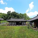 이의정정문 Daum카페