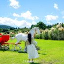 다송목장 이미지