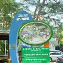 강원 홍천 여름 피서지 추천 용오름계곡 무료주차 화장실 최신 이용 정보