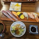 스시소담 이미지