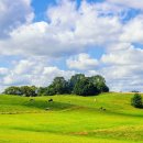 단지내행운공인중개사사무소 이미지