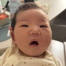 로렌향 | [아기피부야돌아와]아기 태열,지루성피부염 약 한달 관리 후기(쁘리마쥬,약모밀,디어로렌,피지오겔 후기)