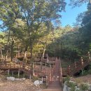 자연휴양림 숲속의집 이미지