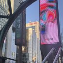 탑클래스성형외과의원 | 강남역 첫코수술 상담후기(짧은코&amp;들창코)