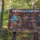 26,10.,2.인제 용늪~대암산^^진행:태도사님 이미지