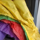 Green Colo | Enchroma 엔크로마 색약 선글라스 구매 후기