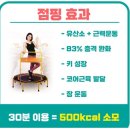 사우점핑다이어트