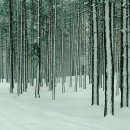 하늘바람 이미지