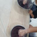 온정초등학교/병설유치원 이미지